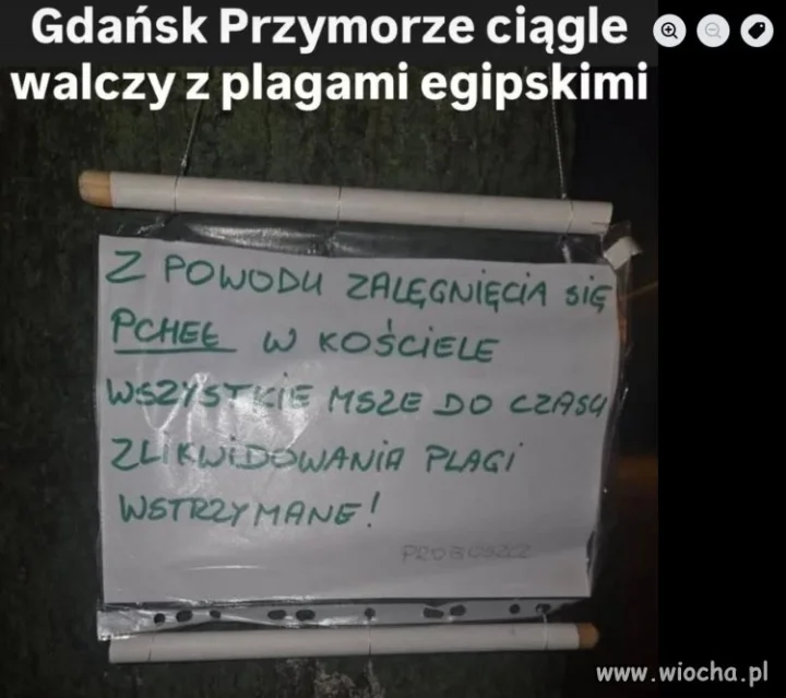Buk tak chciał