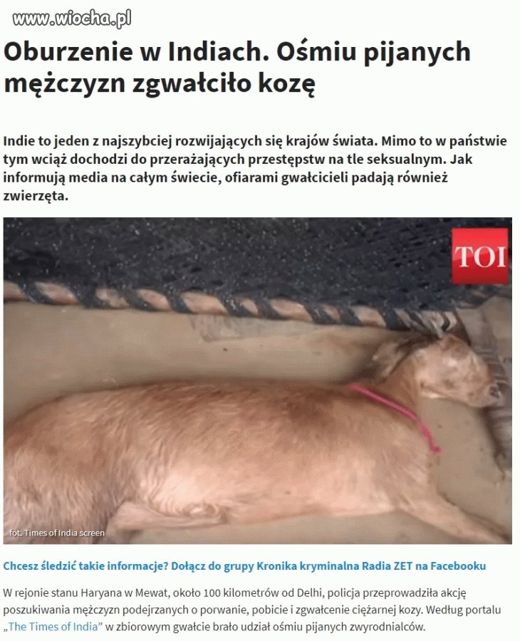 Brak słów