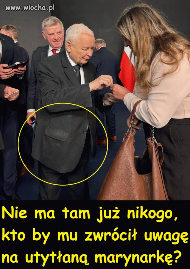 Pisowska fleja