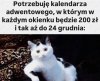 Otwieramy okienko