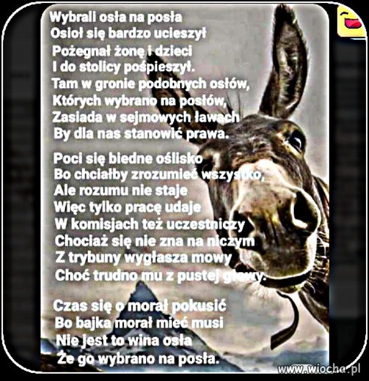 Dobra rada na przyszłość. Głosujcie mądrze!