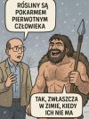 Teoria kontra epoka lodowcowa
