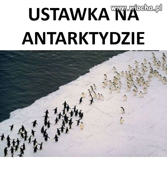 Gdy osiedla się spotykają