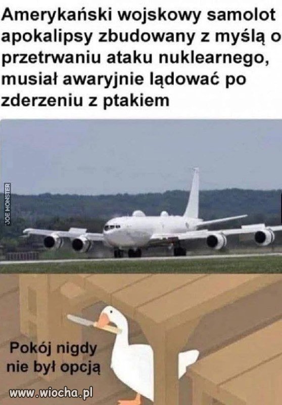 Kiedy ptak ma inne plany