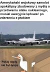 Kiedy ptak ma inne plany