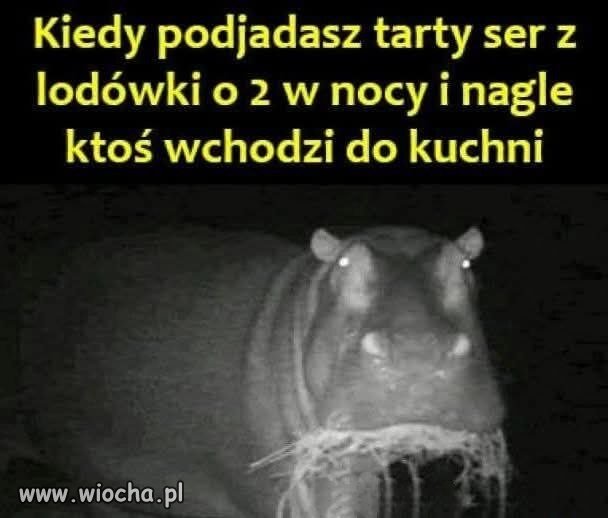 Nocny serowy sabotaż
