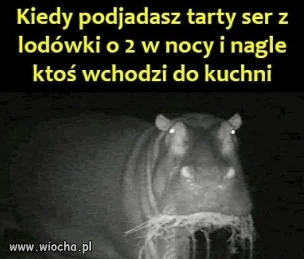 Nocny serowy sabotaż