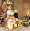 Firmowy łańcuch pokarmowy w pełnej krasie
