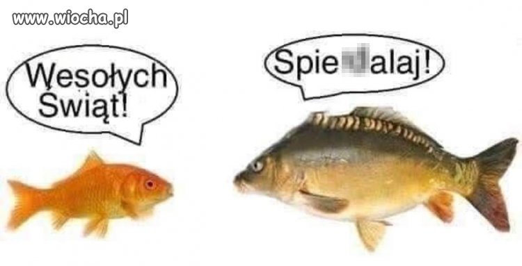 Kiedy wigilijny nastrój cię omija