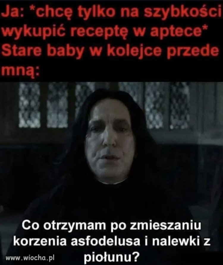 Dzień dobry