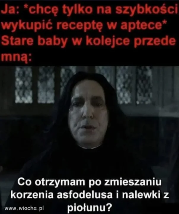 Dzień dobry
