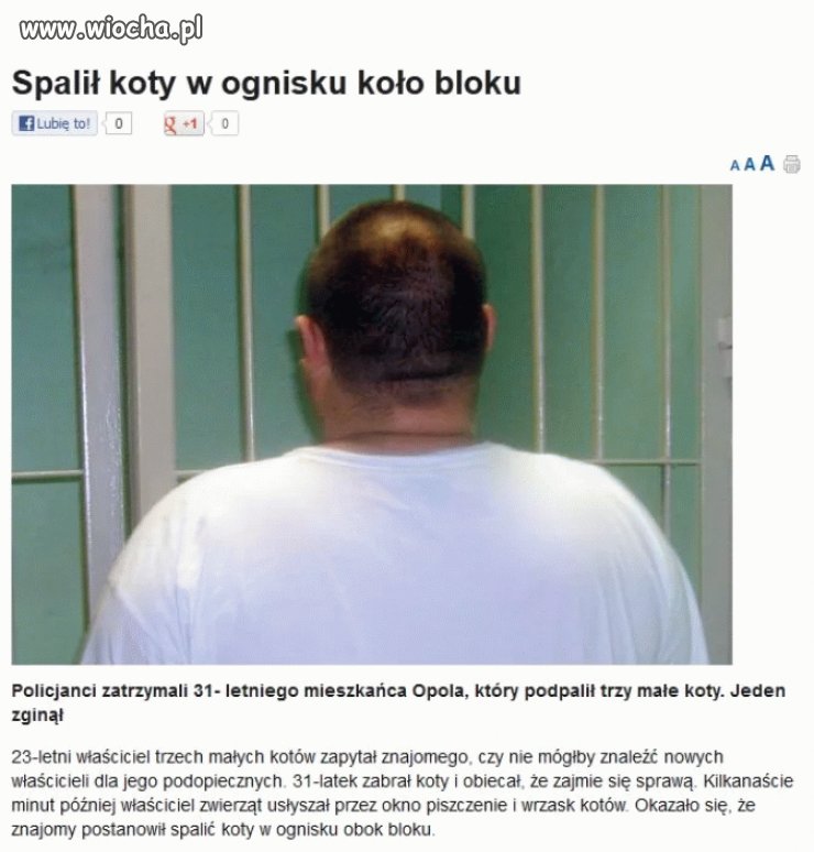 W Polsce stabilnie