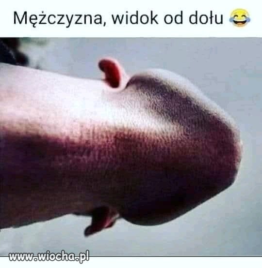 Szyja i broda, które przypadkiem tworzą bardzo znajomy kontur