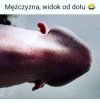 Szyja i broda, które przypadkiem tworzą bardzo znajomy kontur