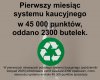 Rekord frekwencji na minusie