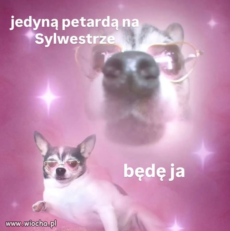 Przysięgam