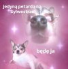 Przysięgam