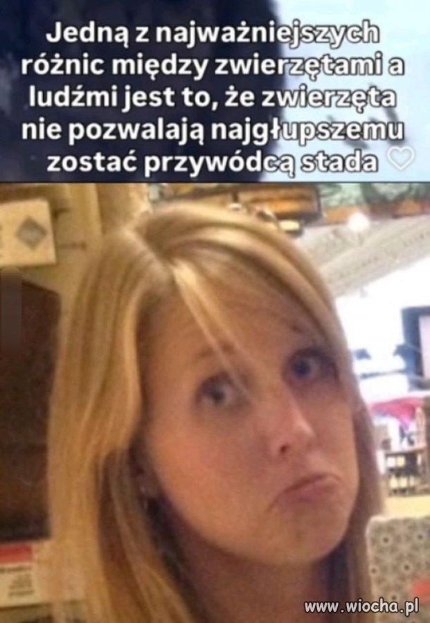 No cóż chyba nie potrzebujemy komentarza 