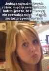 No cóż chyba nie potrzebujemy komentarza 
