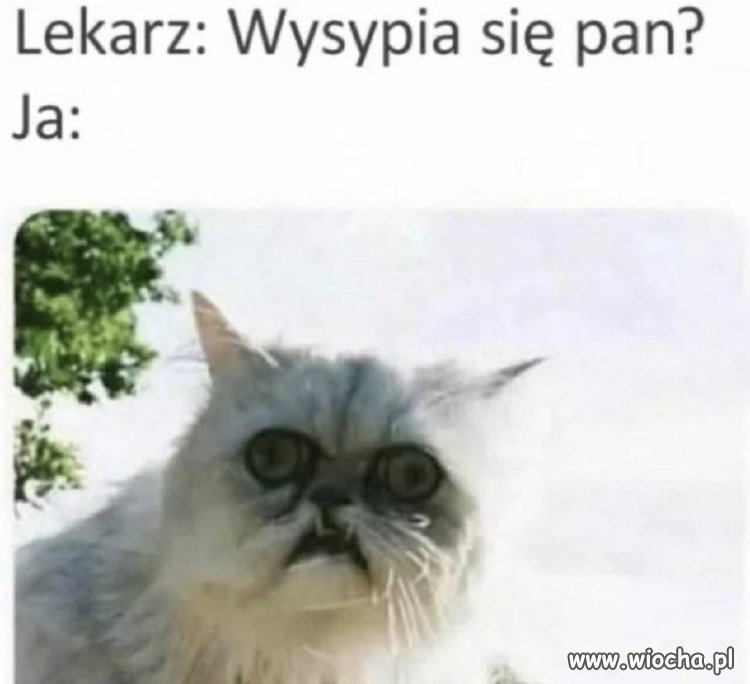 Odpowiedź bez słów