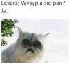 Odpowiedź bez słów