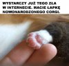 Koniec z hejtem