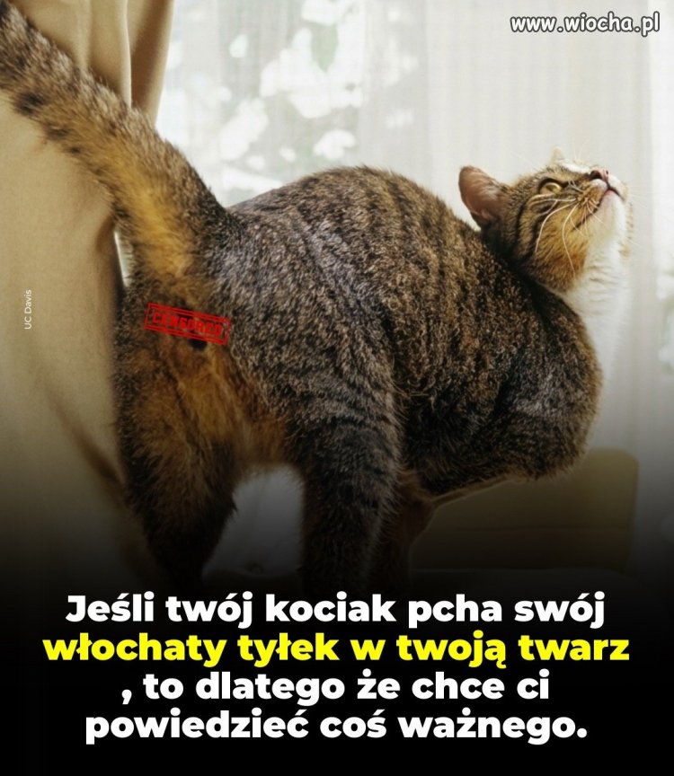 Aha, to dobrze wiedzieć