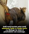 Aha, to dobrze wiedzieć