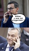 Słyszeliście o tanich działkach