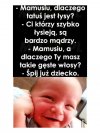 Cisza jako najlepsza riposta