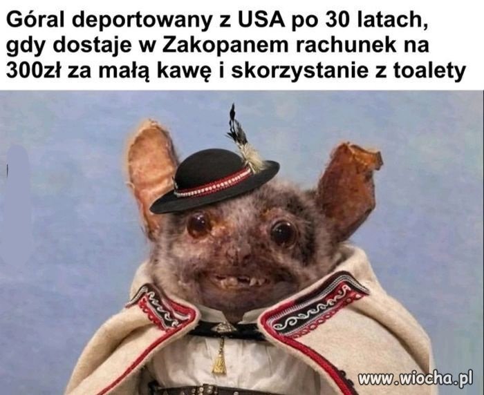 No i co było głosować na sutenera?