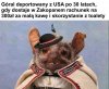 No i co było głosować na sutenera?