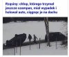 Polska u nas stabilnie 