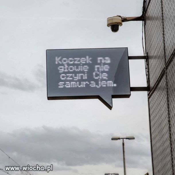 Mądrość z przystanku