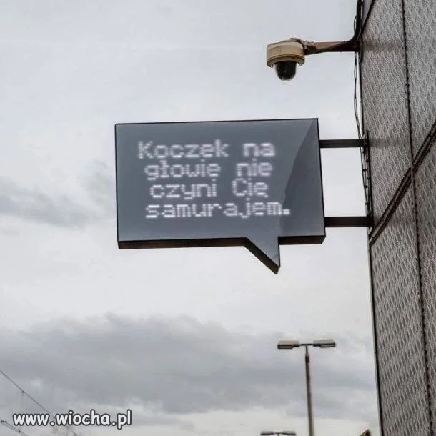 Mądrość z przystanku