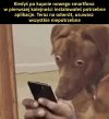 Panie, tyle tego nawalili