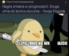 Kiedy wiesz, że wiosny nie będzie,