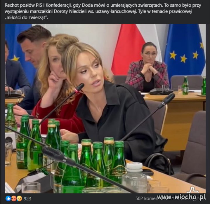 Brak słów