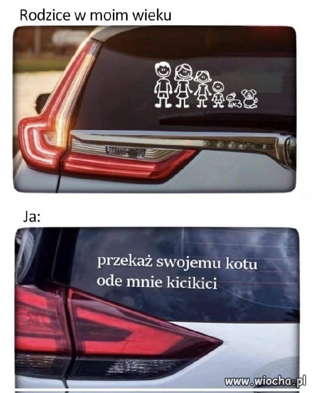 Kto potrzebuje dzieci, gdy masz kota?
