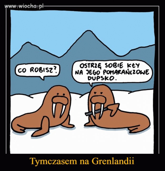 Ręce precz od Grenlandii