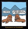 Ręce precz od Grenlandii