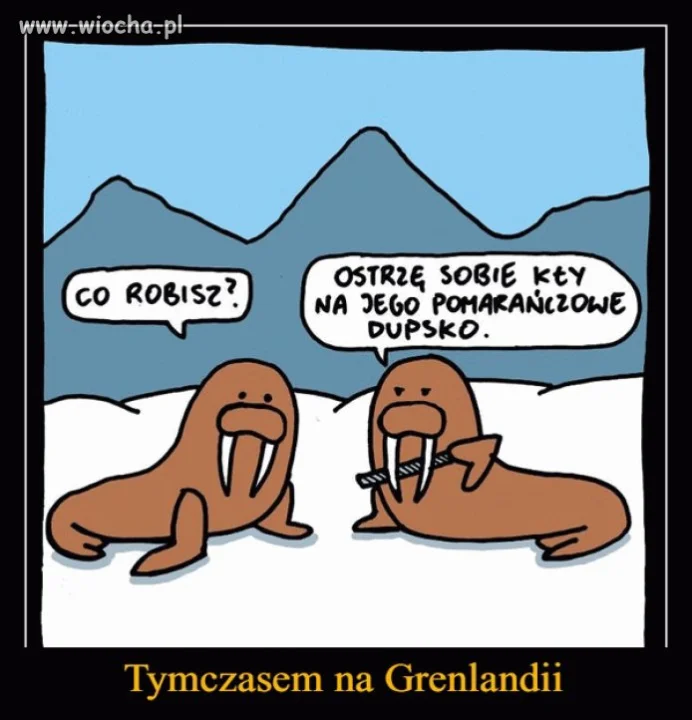 Ręce precz od Grenlandii