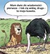 No tak bym powiedział 