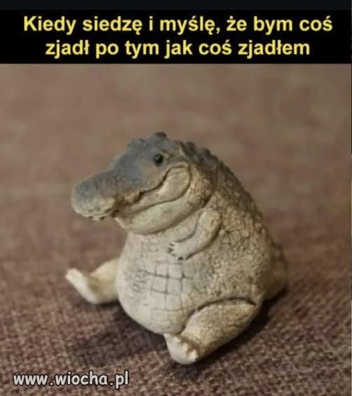 Krąg życia