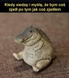 Krąg życia