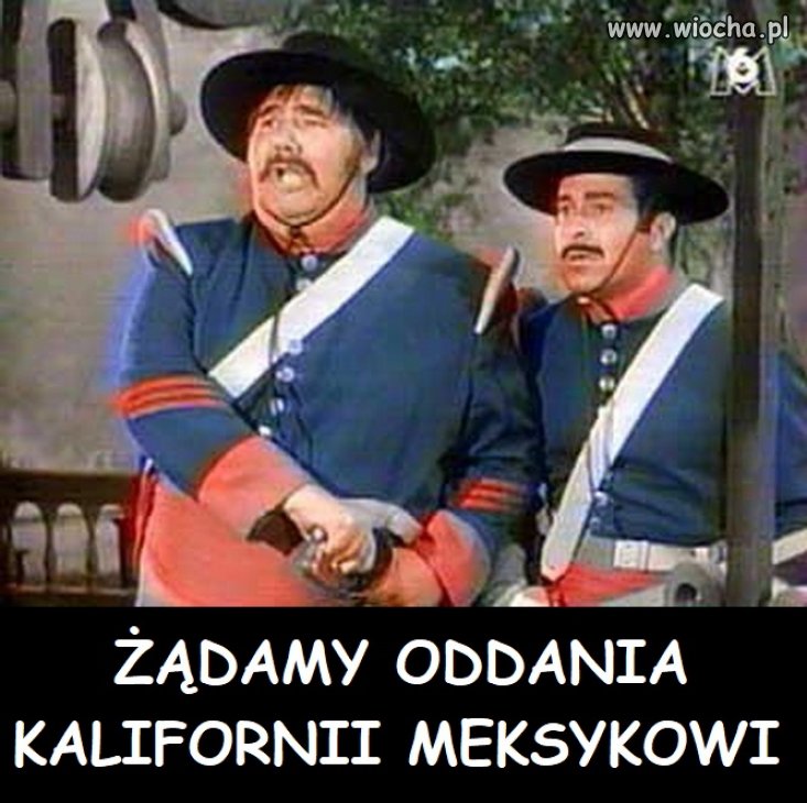 Ciekawe co by powiedział pomarańczowy