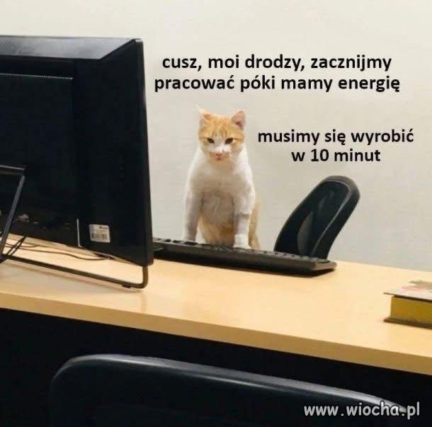 Zarządzanie energią