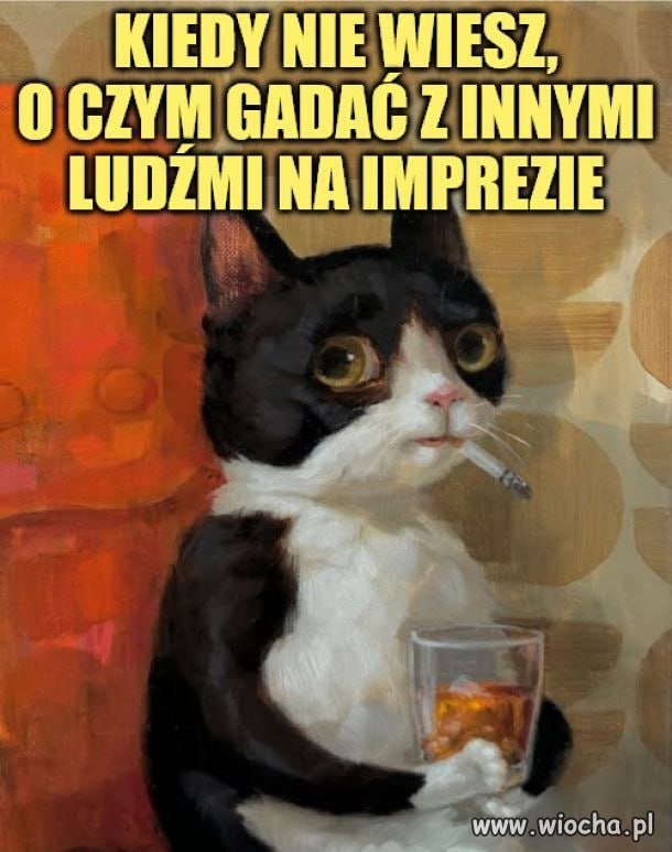 Tryb obserwatora