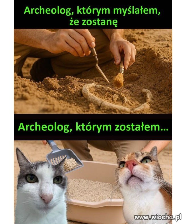 Czy każdy jako dziecko chciał zostać archeologiem?