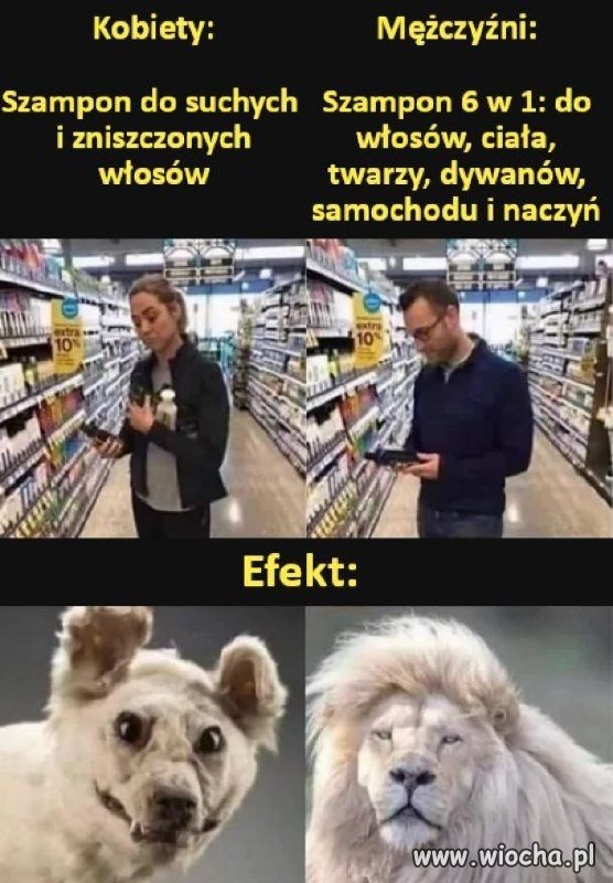 Sama prawda: kobiety vs. mężczyźni